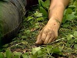 " 19-       ,     - , -   -