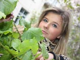  -   ""      , 26 ,      ,  