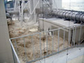 TEPCO назвала дату новой катастрофы на "Фукусиме-1": радиоактивная вода вырвется наружу TEPCO назвала дату новой катастрофы на "Фукусиме-1": радиоактивная вода вырвется наружу