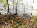 МЧС: площадь пожаров в России уже в три раза больше, чем в прошлом году МЧС: площадь пожаров в России уже в три раза больше, чем в прошлом году