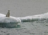  2010          ,          