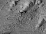  Curiosity           6 