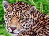 " ,      .    ,   ,     ", -  