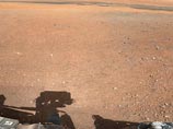  Curiosity    ,                 