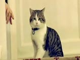         "":   