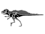 Pegomastax africanus
