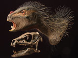 Pegomastax africanus