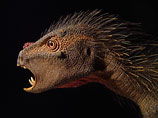 Pegomastax africanus