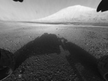    Curiosity  