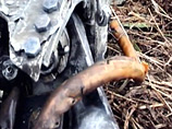  -8  ,      ,    
