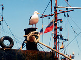    Port May       20  