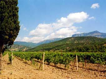  .    massandra.ua 