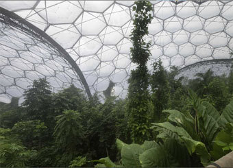  Eden Project,    lookaroundcornwall.com