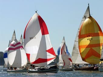    www.islandalliance.org