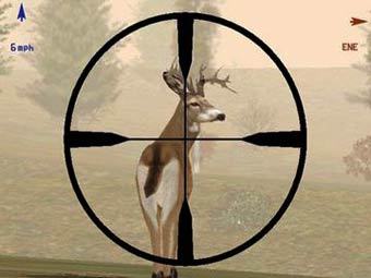   Deer Hunter