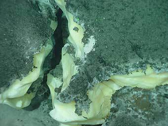      .    geotimes.org