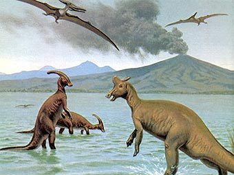    dinogems.com