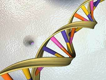     c  genome.gov