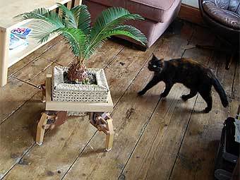 Plantbot,    The Play Coalition
