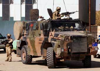 Bushmaster  .  wikipedia.org