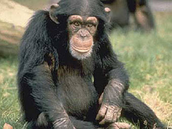 .    cites.org