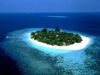    .    actualmaldives.com 