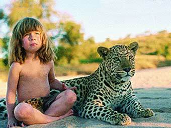  .    tippi.org