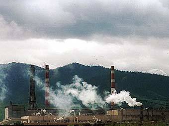  .    greenpeace.org