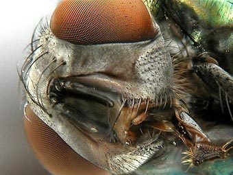       - .   .    sciencewithmrp.pbwiki.com. 