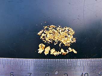   .    polyusgold.com 