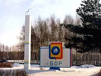    .    borcity.ru