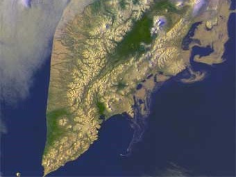    .    pacificinfo.ru