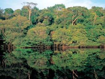 .    latin-america-holidays.sunvil.co.uk
