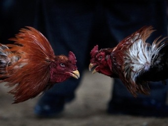  .  ©AFP, 