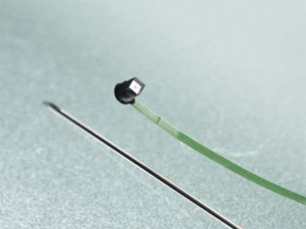    izm.fraunhofer.de