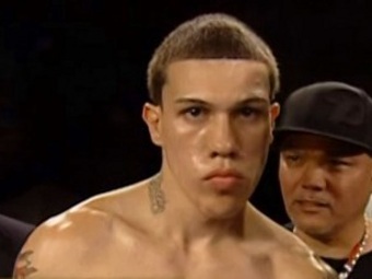  .    boxingasylum.com