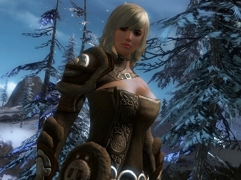  Guild Wars 2