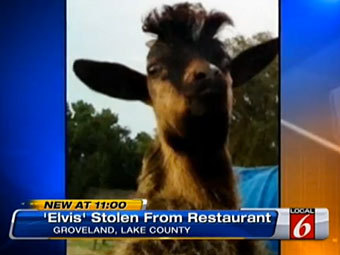 WKMG Orlando