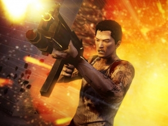  Sleeping Dogs
